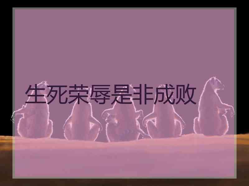 生死荣辱是非成败 生死荣辱是非成败