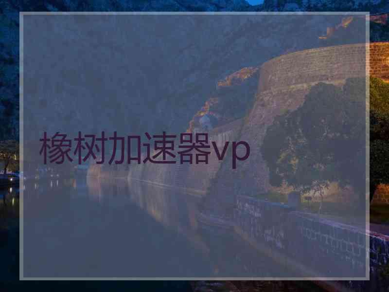 橡树加速器vp 橡树加速器vp