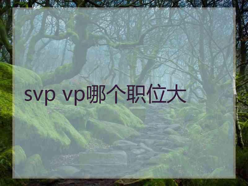 svp vp哪个职位大 svp vp哪个职位大