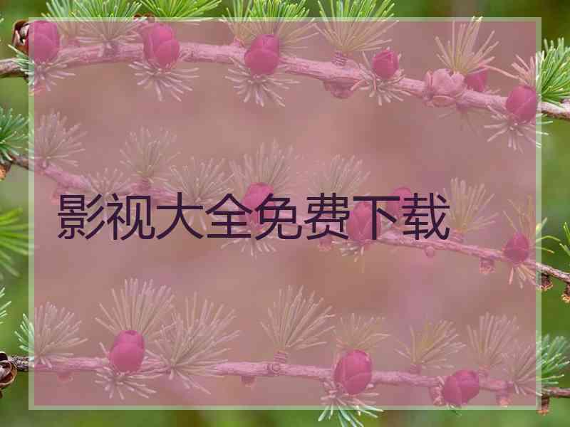 影视大全免费下载 影视大全免费下载