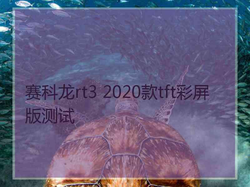 赛科龙rt3 2020款tft彩屏版测试 赛科龙rt3 2020款tft彩屏版测试