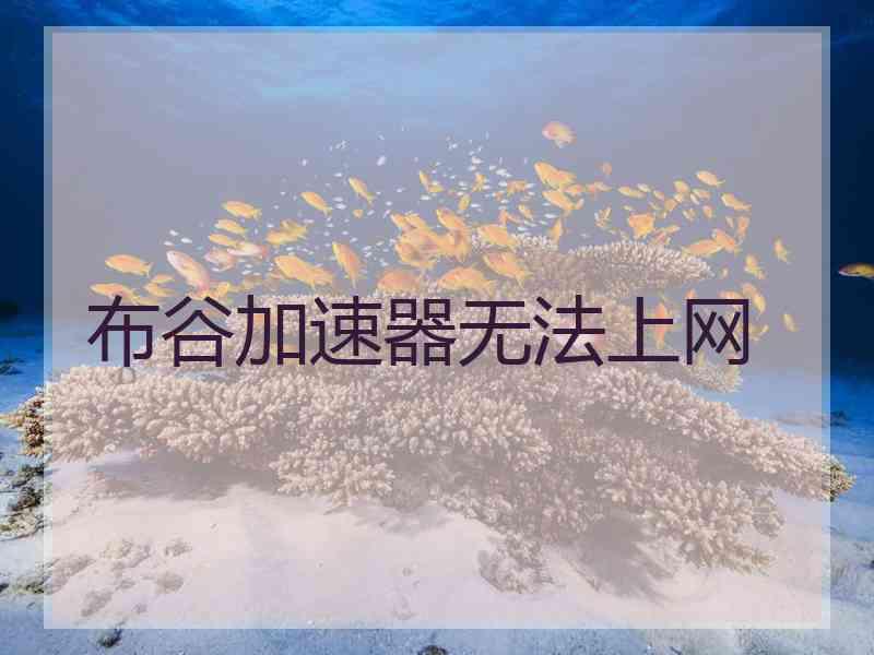 布谷加速器无法上网 布谷加速器无法上网