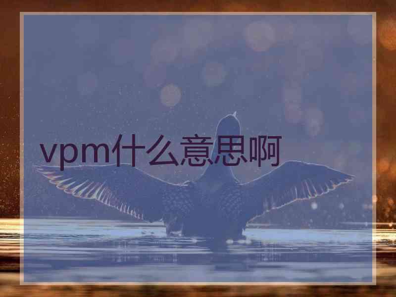 vpm什么意思啊 vpm什么意思啊