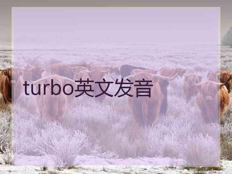 turbo英文发音 turbo英文发音