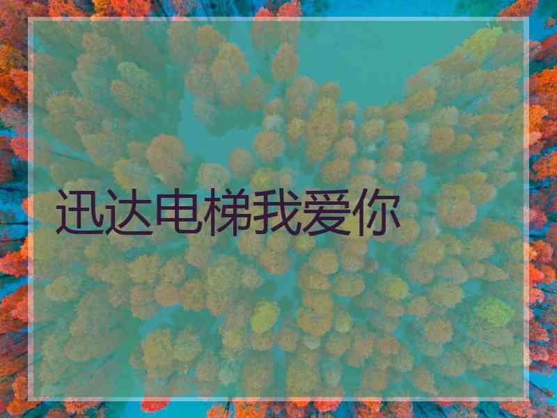 迅达电梯我爱你 迅达电梯我爱你