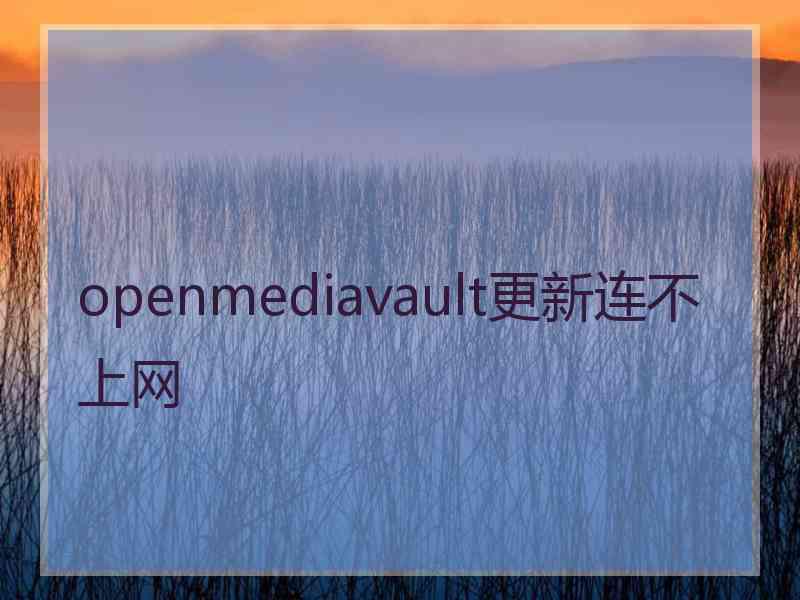 openmediavault更新连不上网