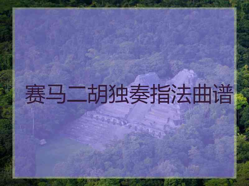 赛马二胡独奏指法曲谱 赛马二胡独奏指法曲谱