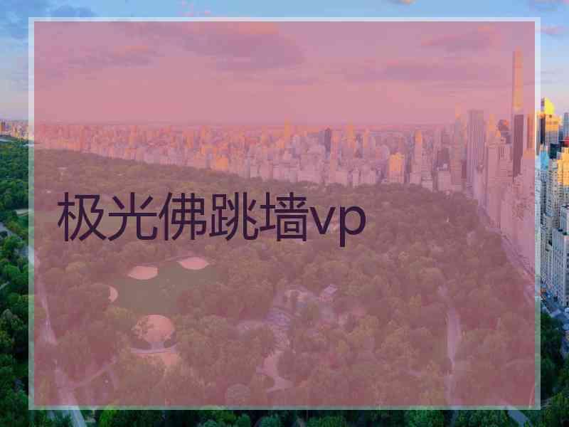 极光佛跳墙vp 极光佛跳墙vp