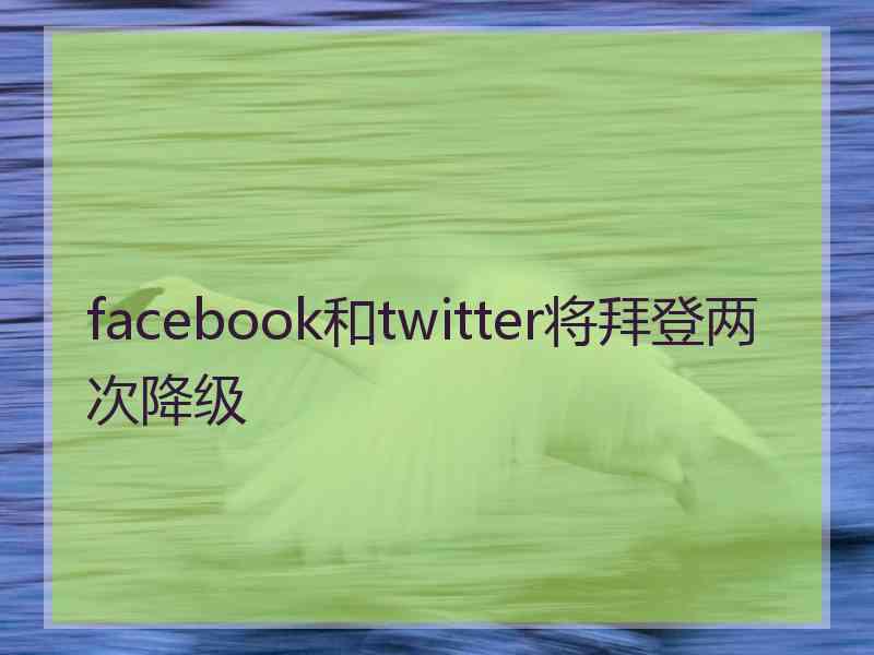 facebook和twitter将拜登两次降级 facebook和twitter将拜登两次降级