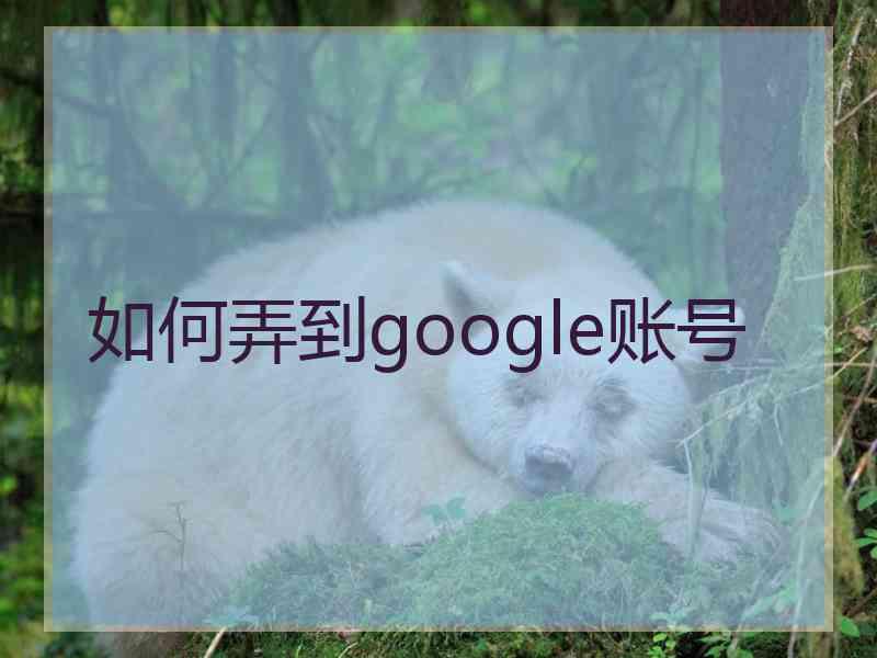 如何弄到google账号 如何弄到google账号