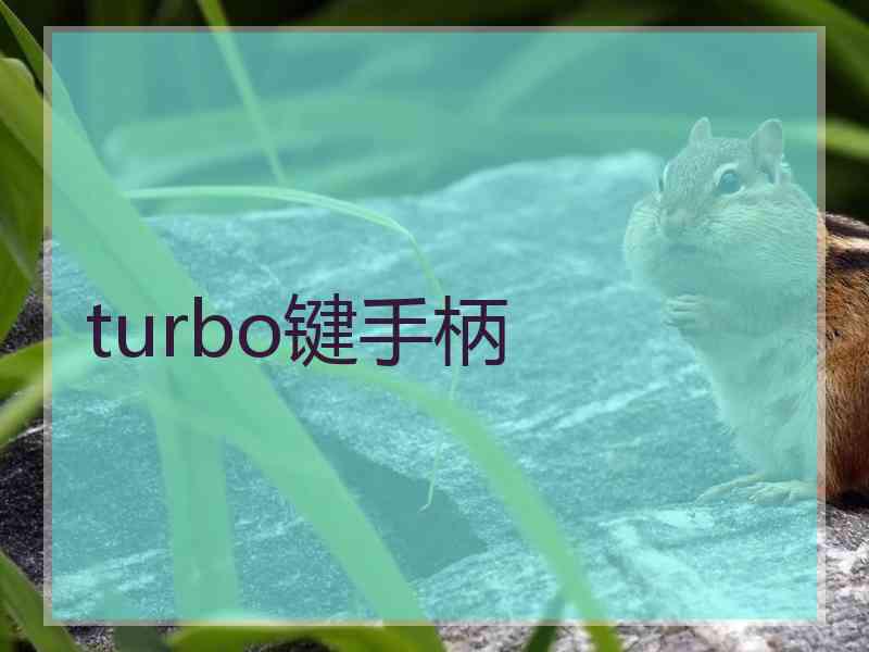 turbo键手柄 turbo键手柄