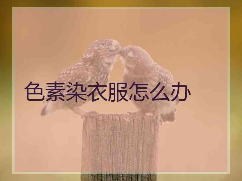色素染衣服怎么办 色素染衣服怎么办