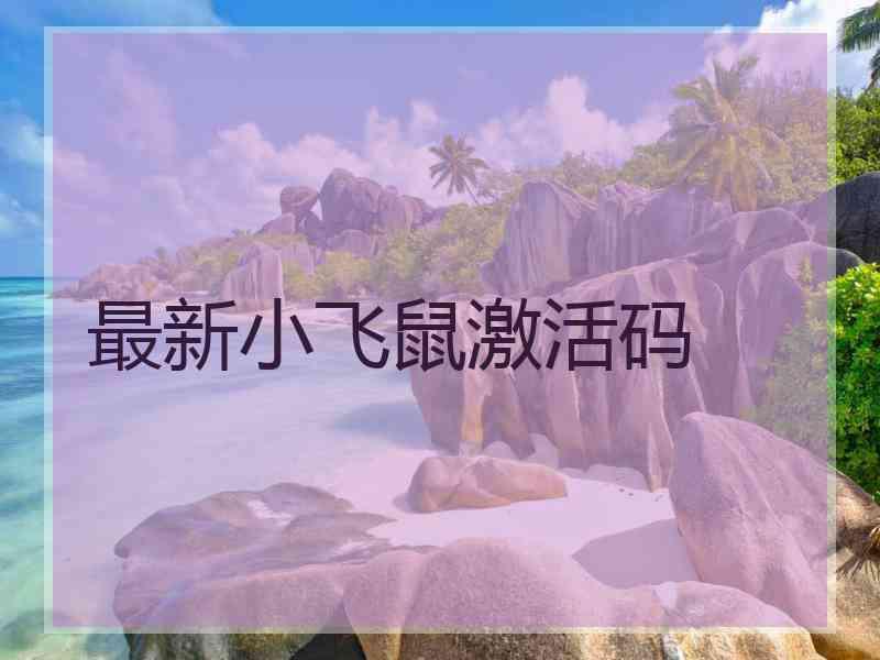 最新小飞鼠激活码 最新小飞鼠激活码