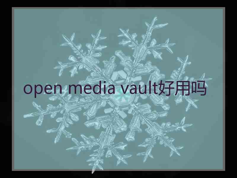 open media vault好用吗