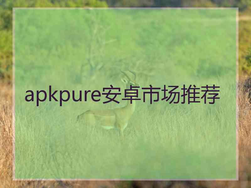 apkpure安卓市场推荐