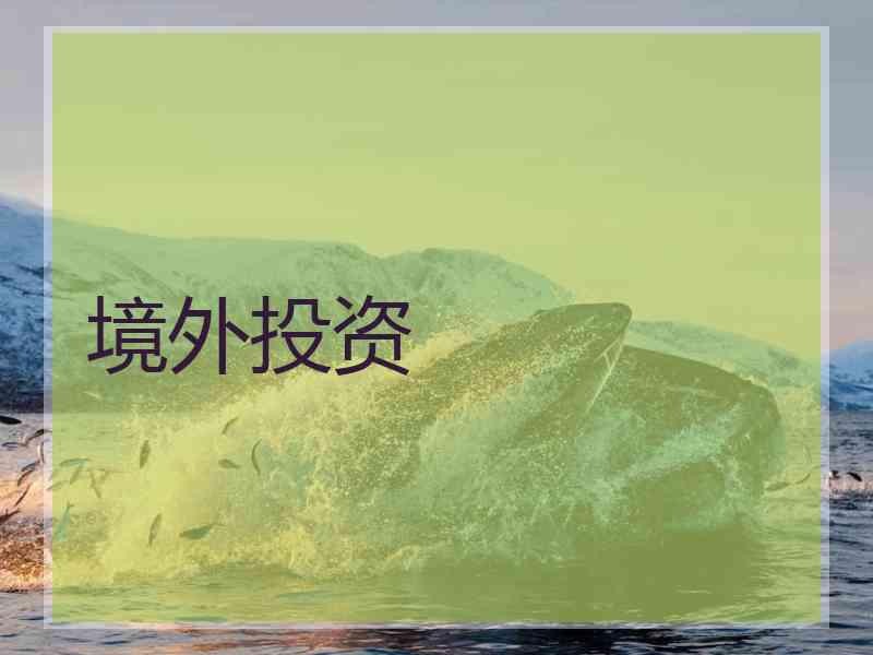 境外投资 境外投资