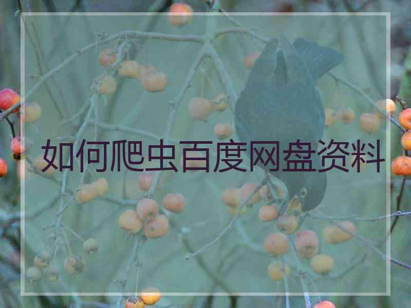 如何爬虫百度网盘资料 如何爬虫百度网盘资料