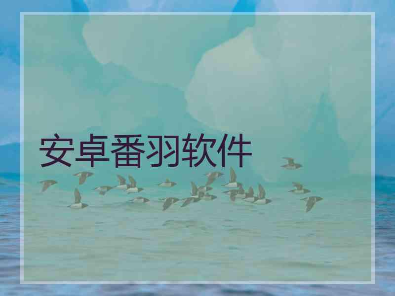 安卓番羽软件 安卓番羽软件