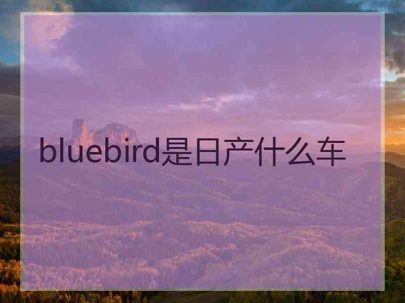 bluebird是日产什么车 bluebird是日产什么车