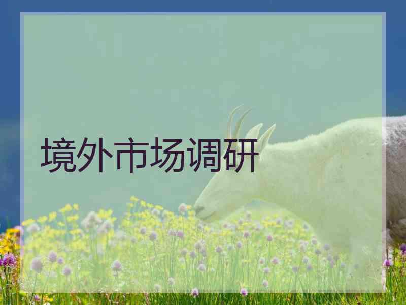 境外市场调研 境外市场调研