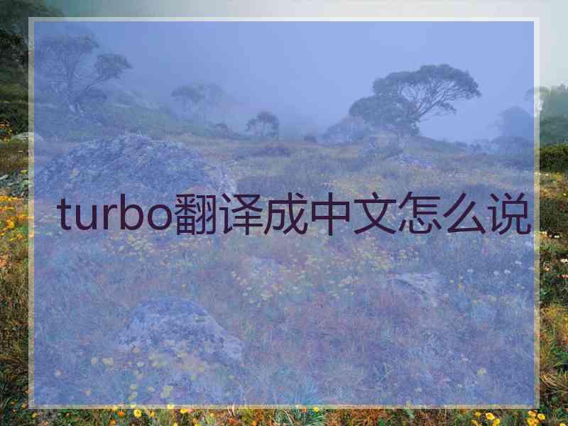 turbo翻译成中文怎么说 turbo翻译成中文怎么说
