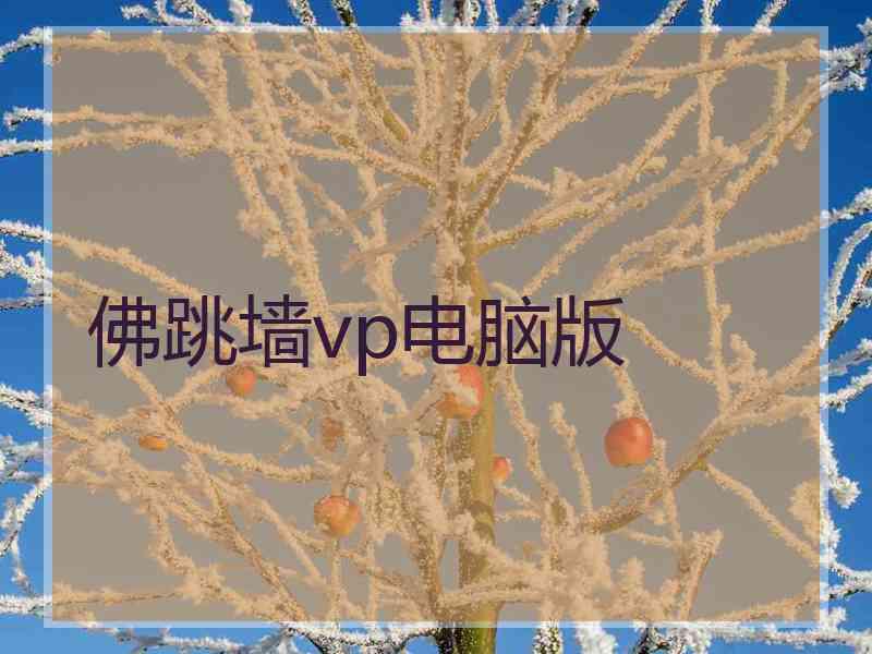 佛跳墙vp电脑版 佛跳墙vp电脑版