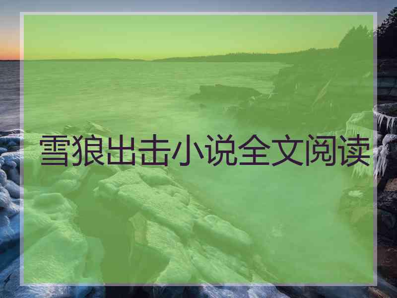 雪狼出击小说全文阅读