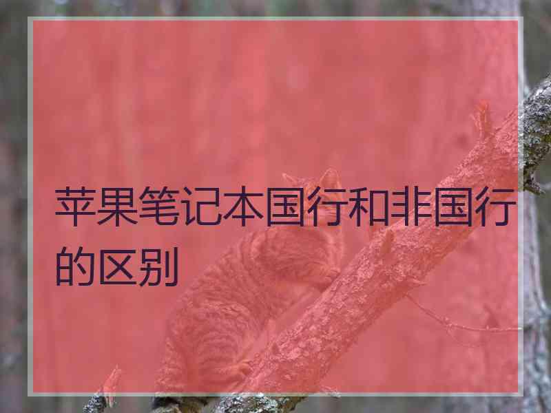 苹果笔记本国行和非国行的区别
