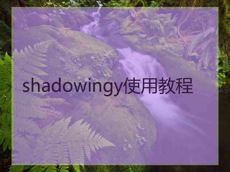 shadowingy使用教程
