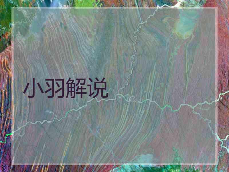 小羽解说