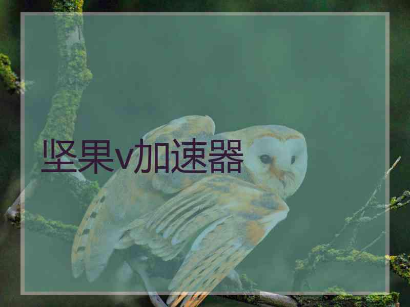 坚果v加速器