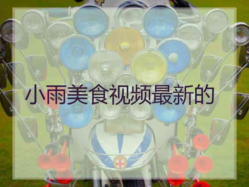 小雨美食视频最新的