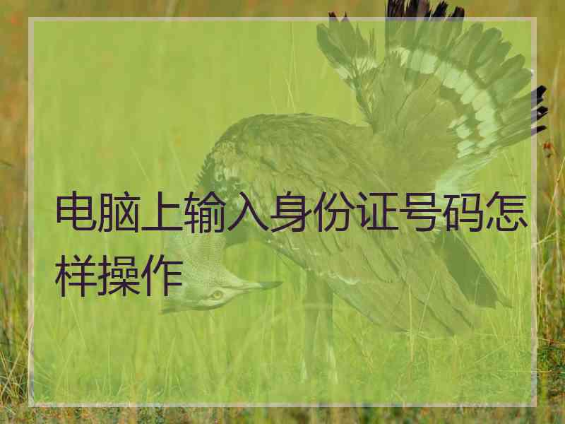 电脑上输入身份证号码怎样操作