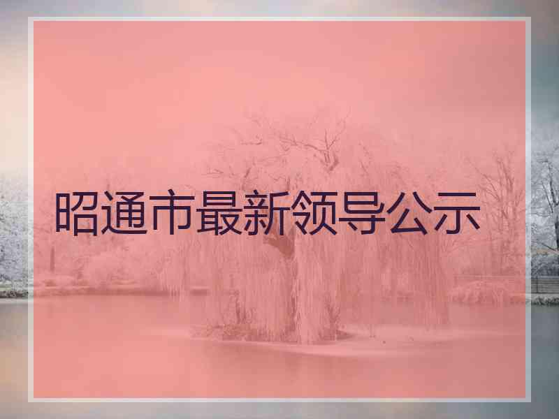 昭通市最新领导公示