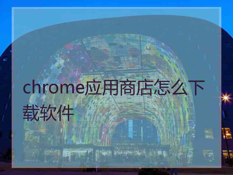 chrome应用商店怎么下载软件