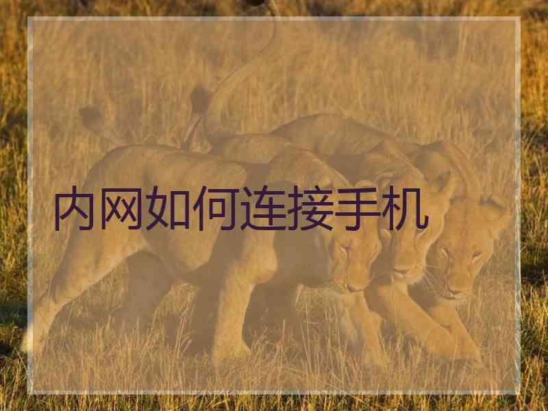 内网如何连接手机