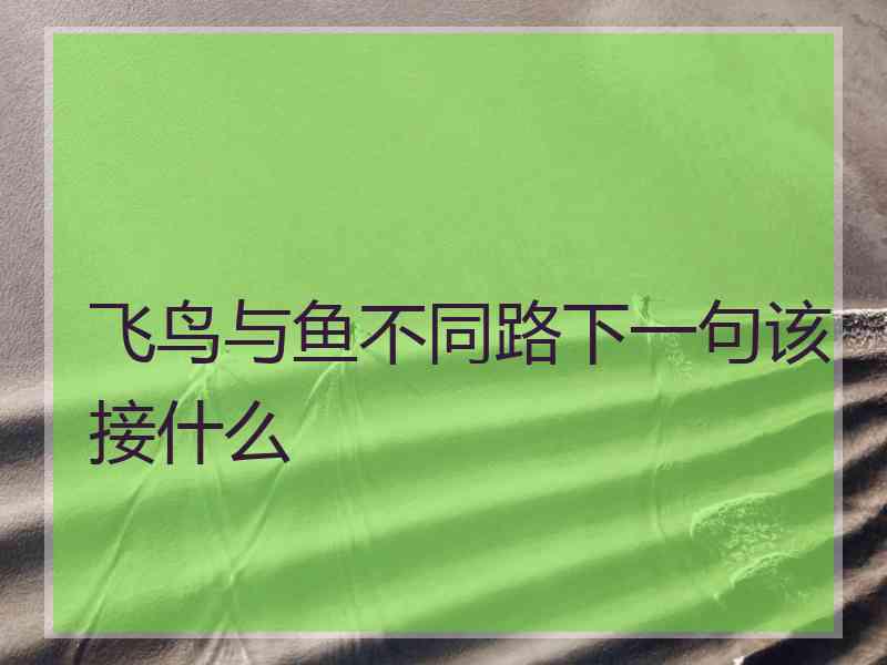 飞鸟与鱼不同路下一句该接什么