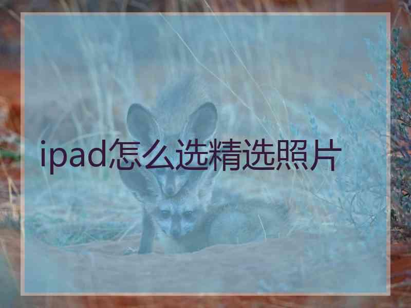 ipad怎么选精选照片