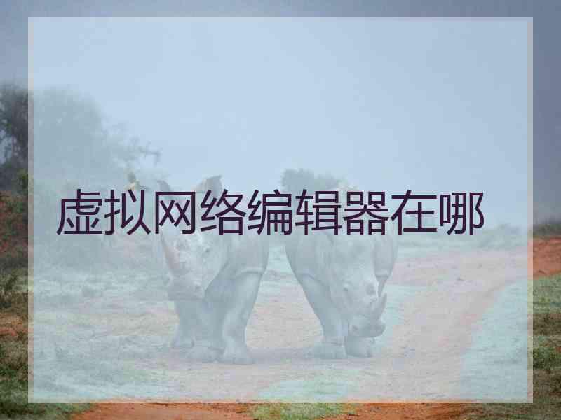 虚拟网络编辑器在哪