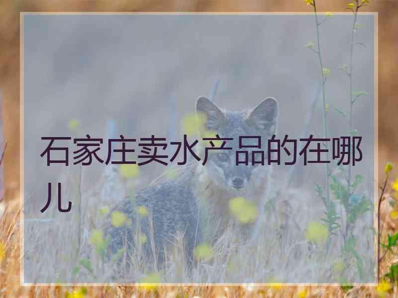 石家庄卖水产品的在哪儿