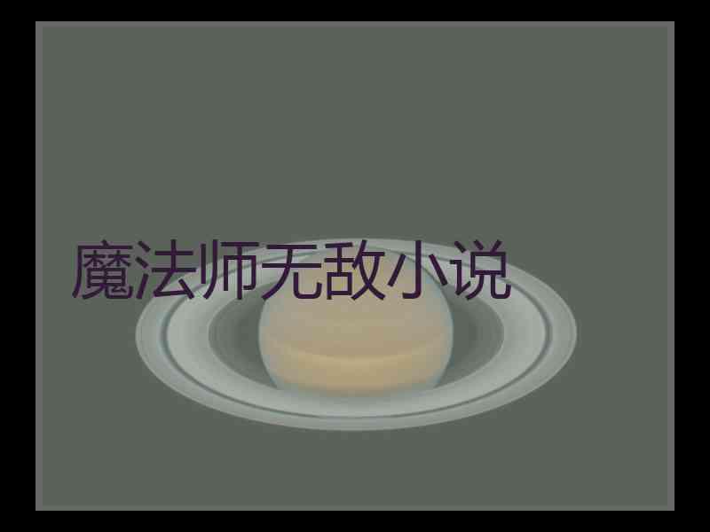 魔法师无敌小说