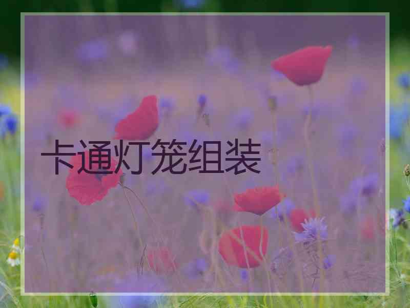 卡通灯笼组装