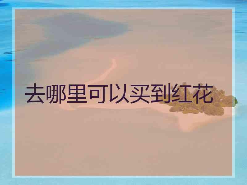 去哪里可以买到红花