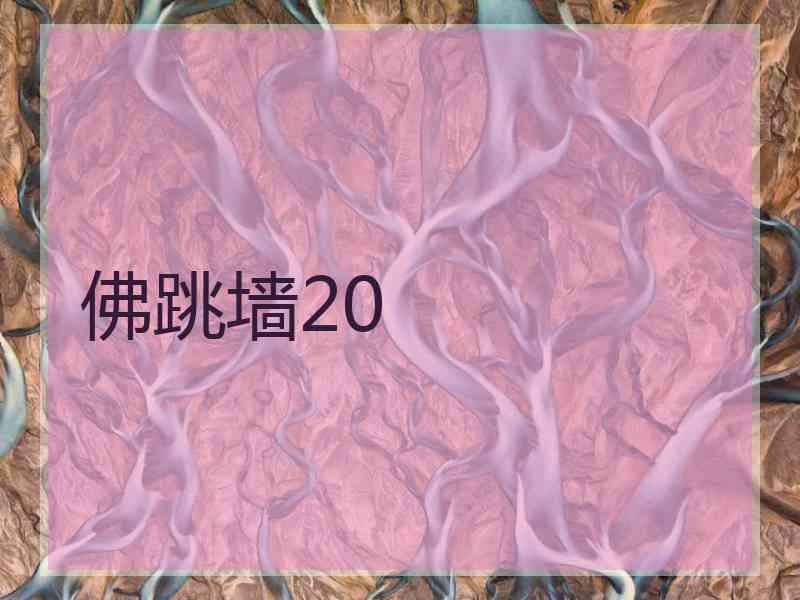 佛跳墙20