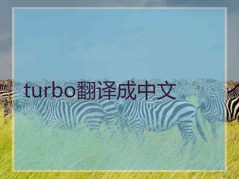 turbo翻译成中文