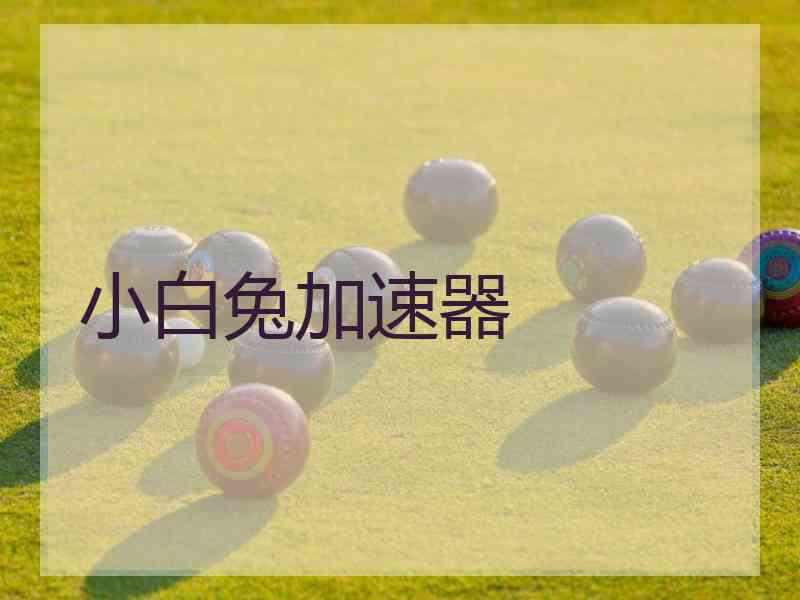 小白兔加速器
