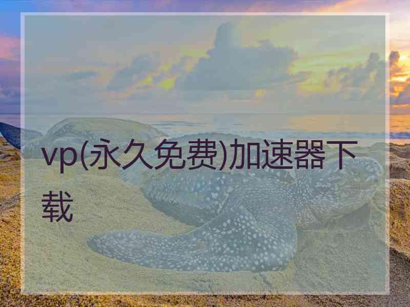 vp(永久免费)加速器下载