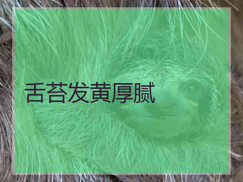 舌苔发黄厚腻