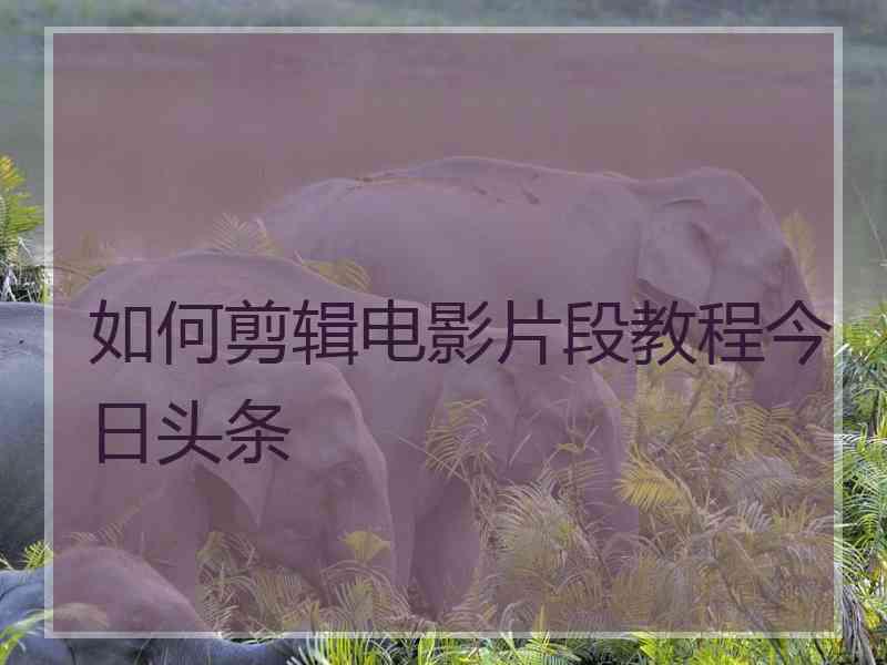 如何剪辑电影片段教程今日头条