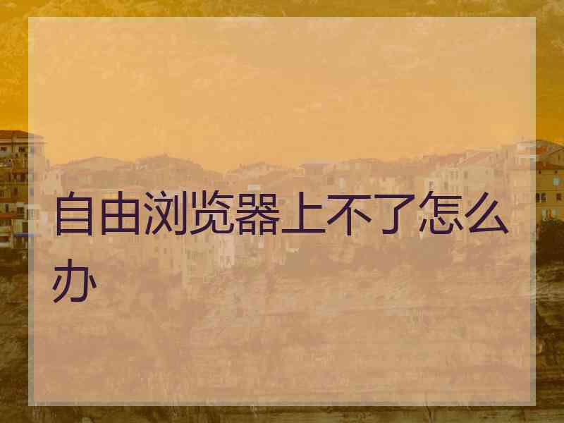 自由浏览器上不了怎么办